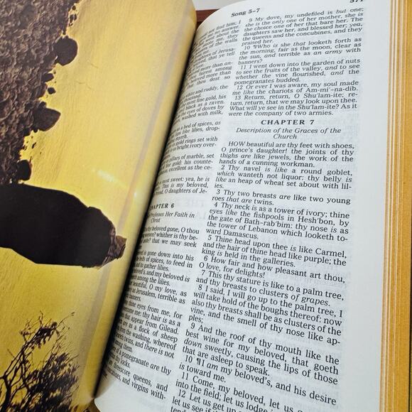 Holy Bible Memorial Edition Concordance KJV in Wooden Cedar Box - Picture 8 of 11